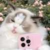 my.name.is.cipaaa
