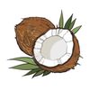 coconutayyy