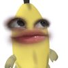 t_iiyyayaaaa