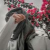 user01125037152