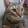 katty.0010