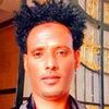 muntasir.habibi