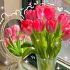 alshop6781