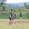 haidilstep
