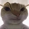 usersw6owf75vy