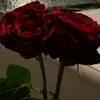 3tvjll