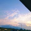 mies_ya_123