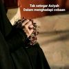 sifa_120881