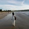 seaboue