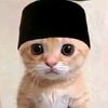dudung.dudung767