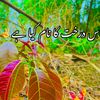 alihassan26177
