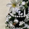 miss_winter.25