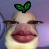 zuzul2289