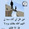 user952014662582