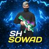 shsowad2.0