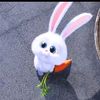 nazli_qiz_55