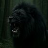 rebelstark4