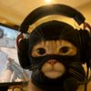 captehduck