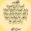user4811877346177