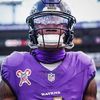 ravensflock11