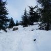 rachid.zoughdani