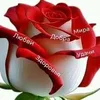 user79434961332656
