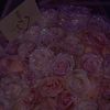 ssarah_07888