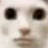 brainrotcreator1234