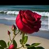 user8822079122850