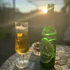 skabar55