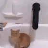 mistergoida6