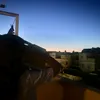 martalpez12