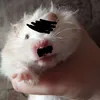 xomak_gitler