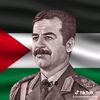 mohammedbashir340
