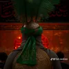 alialaa9100