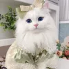 user961270716