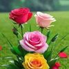 ilam77ssa56