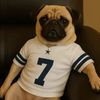 roycethepug
