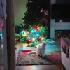 rebecca_marri0tt
