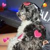 hearts.4.lucy
