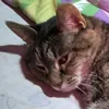 maru_gllr