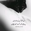madiii.zaniii.22