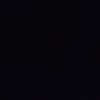 teamnegro.j1