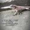 ggssgrsdg