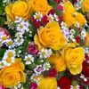 farzana.yeasmin36