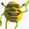1shrekislife
