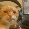urboy.vhinyzy0