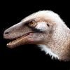 animalman7