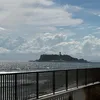daridaridaria