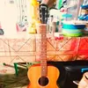 karljun769